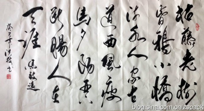 图片1