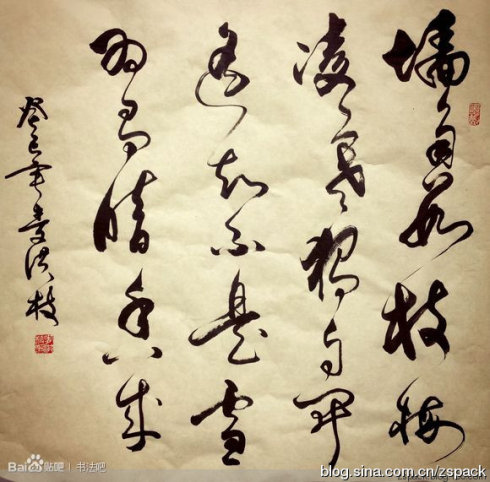 图片3