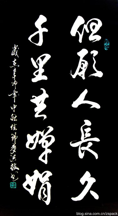 图片1